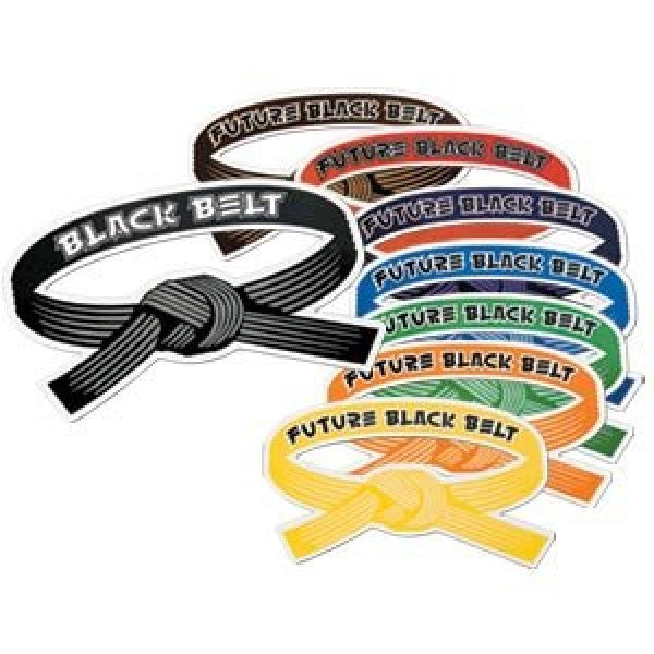Belt Magnets