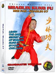 (SHAOLIN DVD #06) MOI FAH KUEN CHINESE TRADITIONAL SHAOLIN KUNG FU