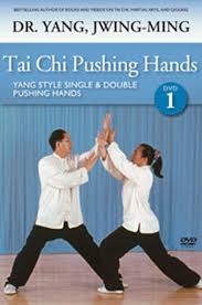 Tai Chi Pushing Hands DVD 1