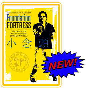 Foundation Fortress By Sifu Gary Lam